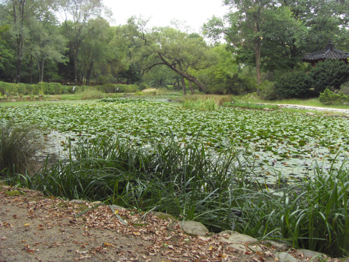 SDC12202.JPG