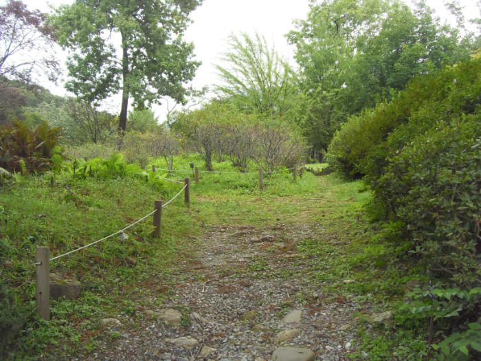 SDC12206.JPG