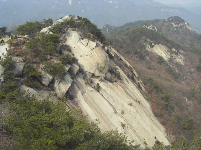 SDC12356.JPG