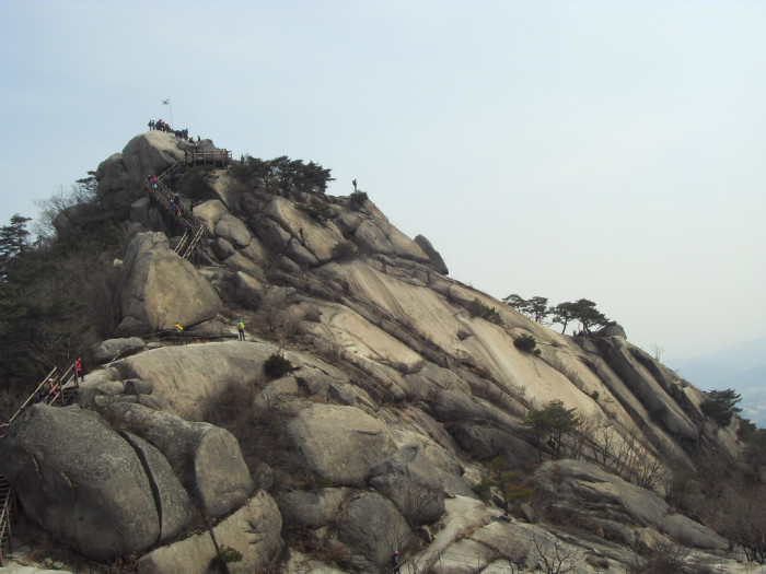 SDC12361.JPG