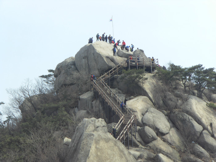 SDC12364.JPG