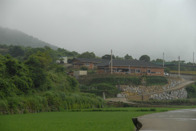 SAN_0227.JPG