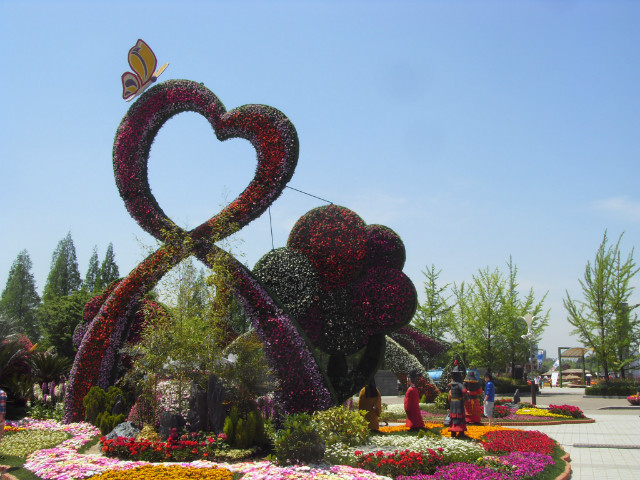 SDC12432.JPG