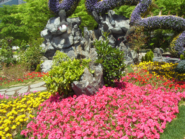 SDC12433.JPG