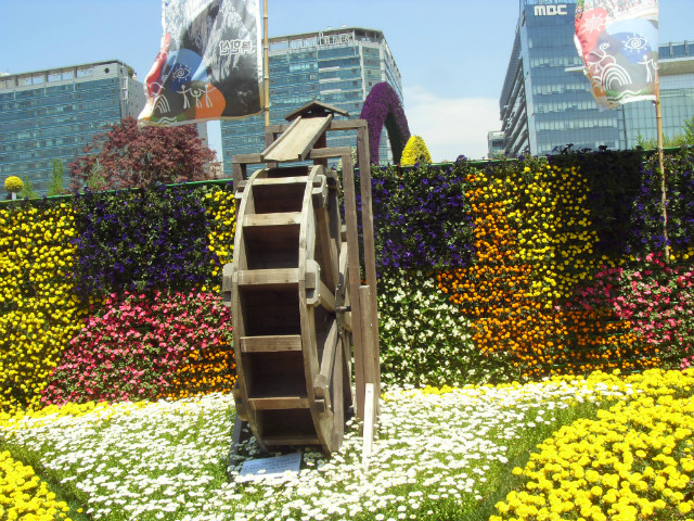 SDC12421.JPG