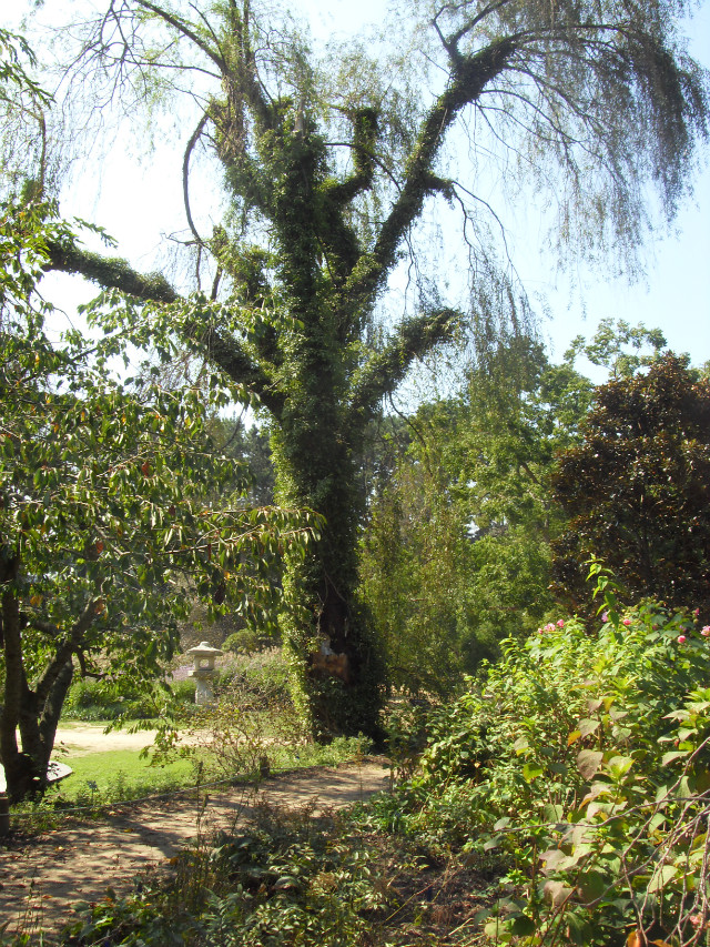 SDC11809.JPG