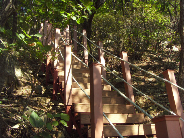 SDC13196.JPG