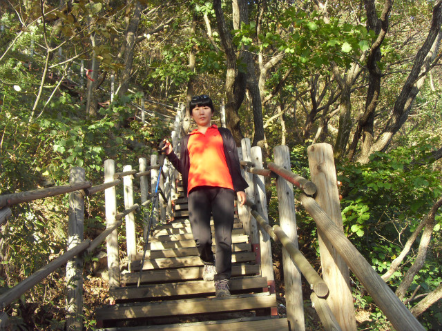 SDC13236.JPG