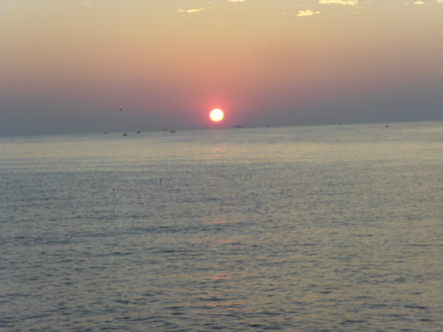 SDC13020.JPG