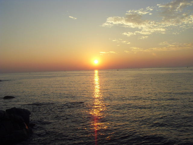 SDC13029.JPG
