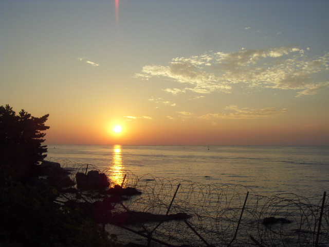 SDC13031.JPG