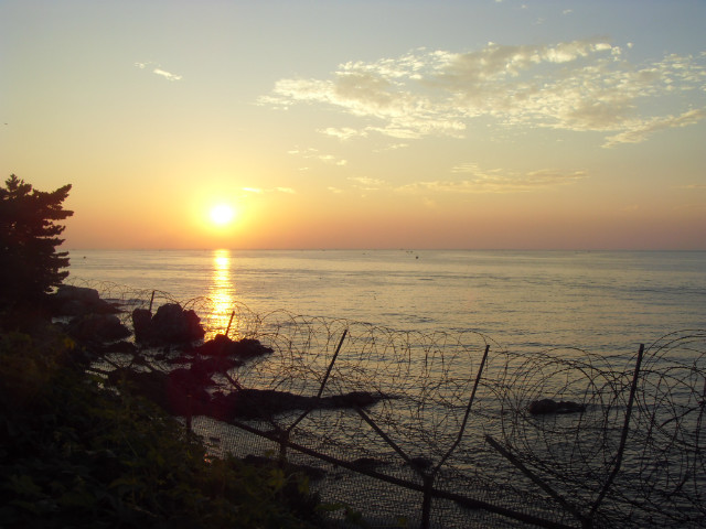 SDC13033.JPG