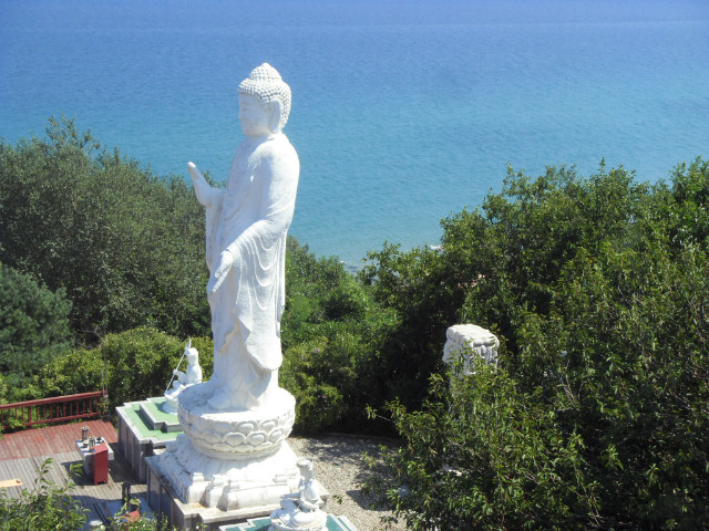 SDC13083.JPG