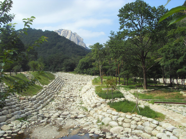 SDC12953.JPG
