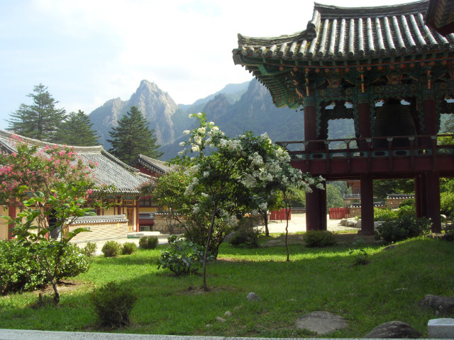 SDC12969.JPG