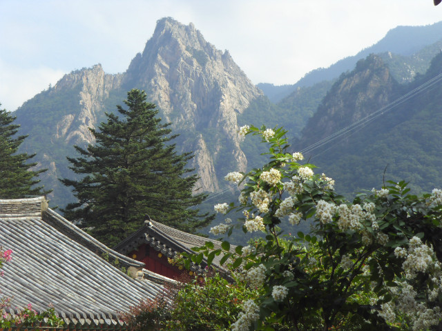 SDC12973.JPG