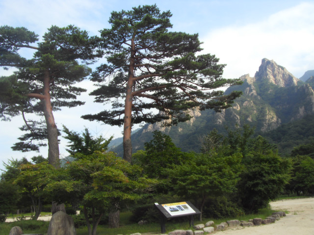 SDC13009.JPG