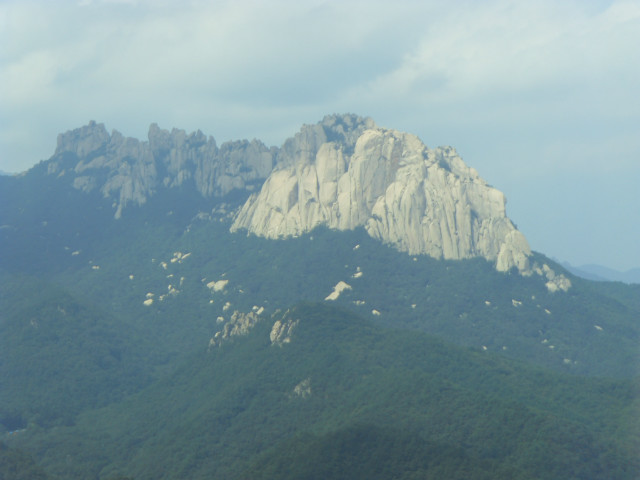 SDC12904.JPG