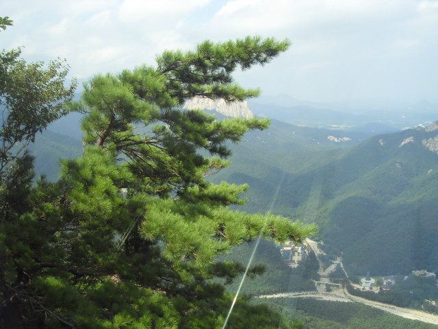 SDC12910.JPG