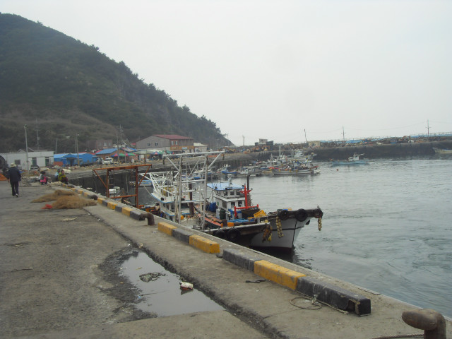 SDC12667.JPG