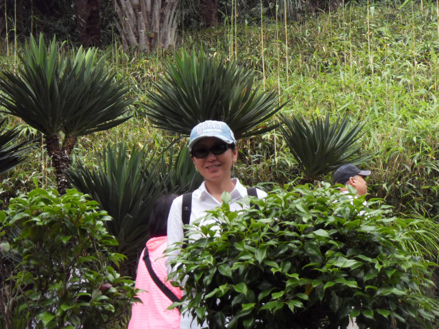 SDC13515.JPG