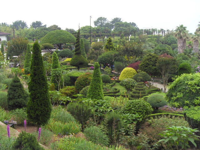 SDC13577.JPG