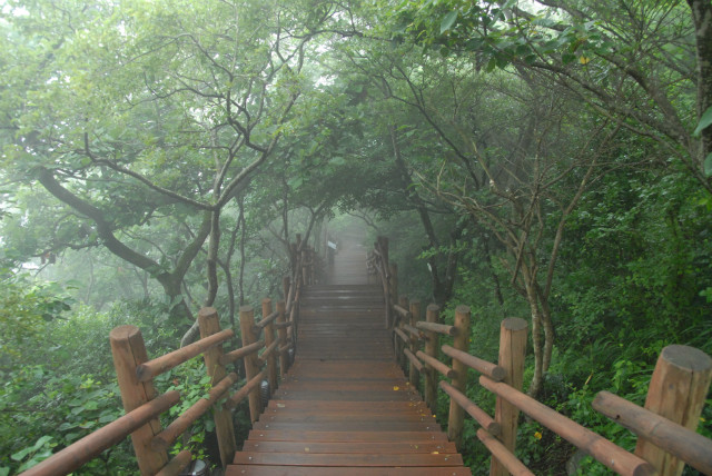 SAN_0345.JPG