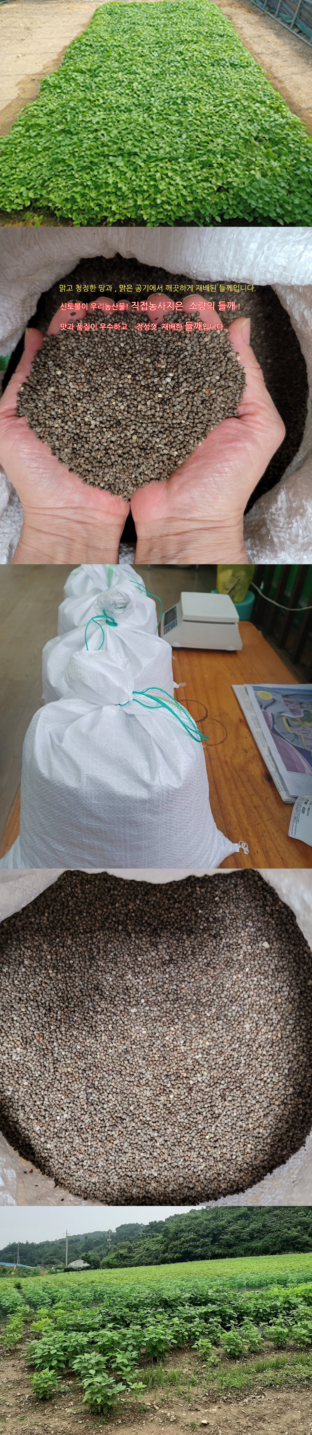 5cc39f6916da7ac0f76c05e59d07bb9a_1667816249_18.jpg 5cc39f6916da7ac0f76c05e59d07bb9a_1667816249_18.jpg