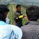 https://farmnet.kr/data/file/gallery/thumb-32907931_20riEVzF_3c8a26fb14e55b73cd294976d8170318c28041d0_80x80.jpg