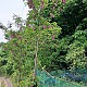 https://farmnet.kr/data/file/gallery/thumb-33059127_U3BybLR5_dee0159b368489f6a0ec050394907ddcdcc80e34_80x80.jpg