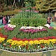 https://farmnet.kr/data/file/gallery/thumb-33059127_gNwjyshJ_7f5268f1e0a3403cb0daac7e249a1ac793788c90_80x80.jpg