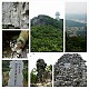 https://farmnet.kr/data/file/gallery/thumb-3717190841_Aaf1qzSe_PhotoGrid_1434358486923_80x80.jpg