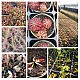 https://farmnet.kr/data/file/gallery/thumb-981064908_taYvFbuZ_e463a4ded245ea4c8c9cd870b80d845760215bbf_80x80.jpg